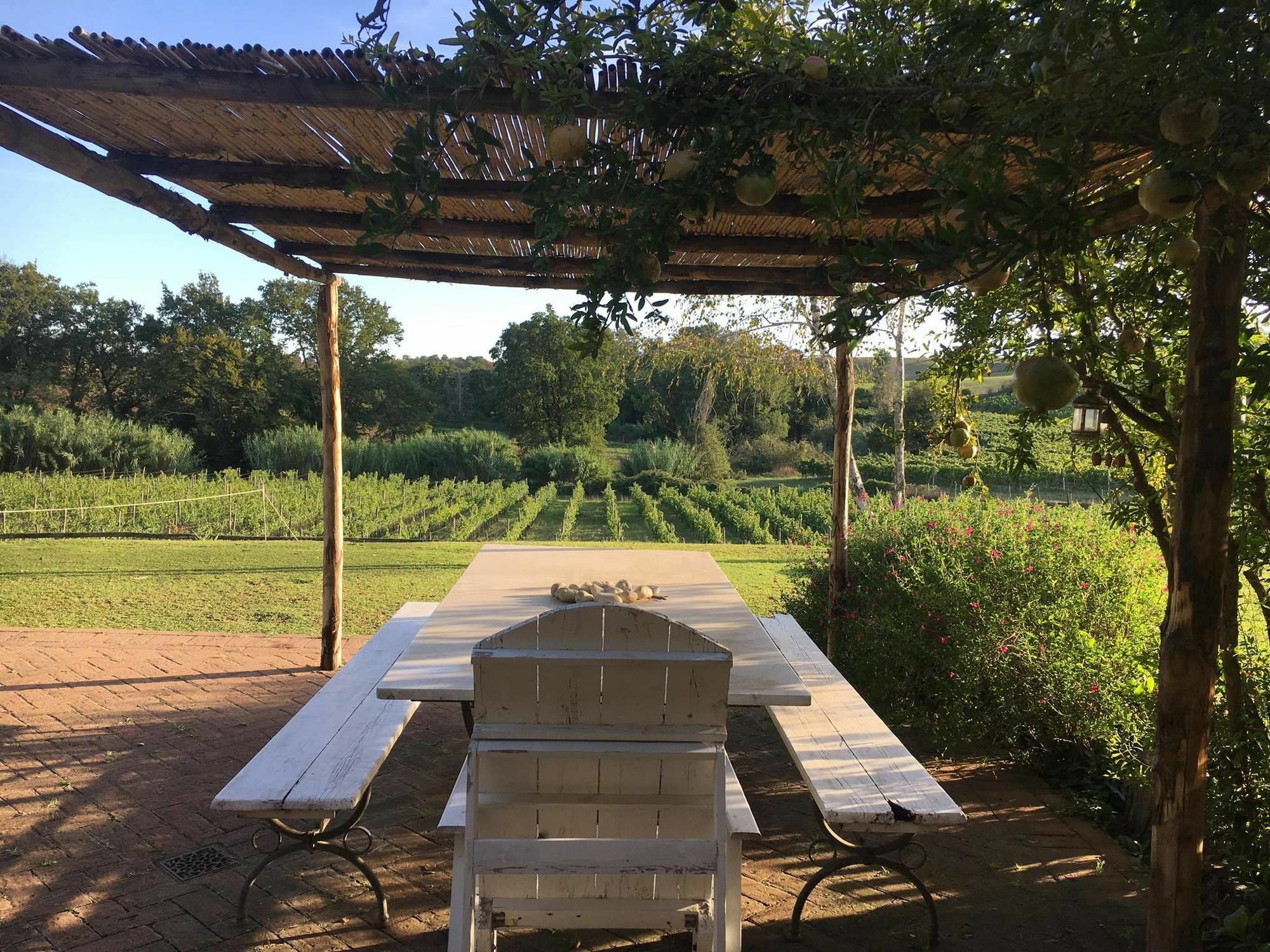 Borgo Del Gelso Bed & Breakfast Olgiata Dış mekan fotoğraf