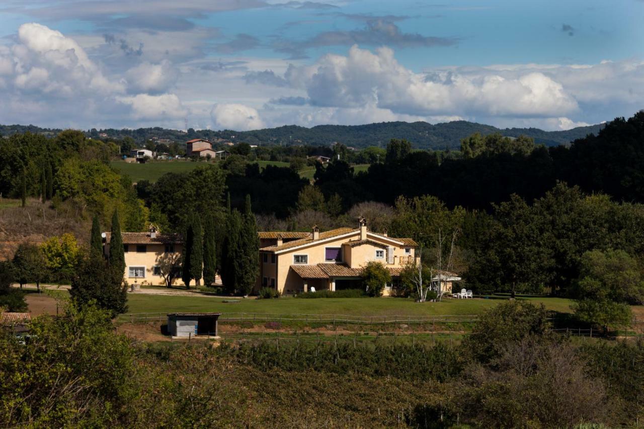 Borgo Del Gelso Bed & Breakfast Olgiata Dış mekan fotoğraf