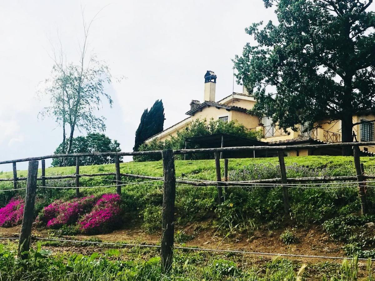 Borgo Del Gelso Bed & Breakfast Olgiata Dış mekan fotoğraf